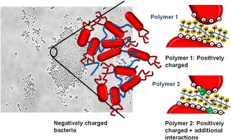 1-s2.0-S0939641115002581-fx1