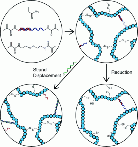 c3bm60126a-s1_hi-res