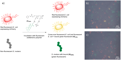 journal.pone.0180087.g005
