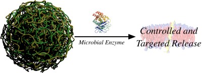 Enzyme Responsive Nanomaterials